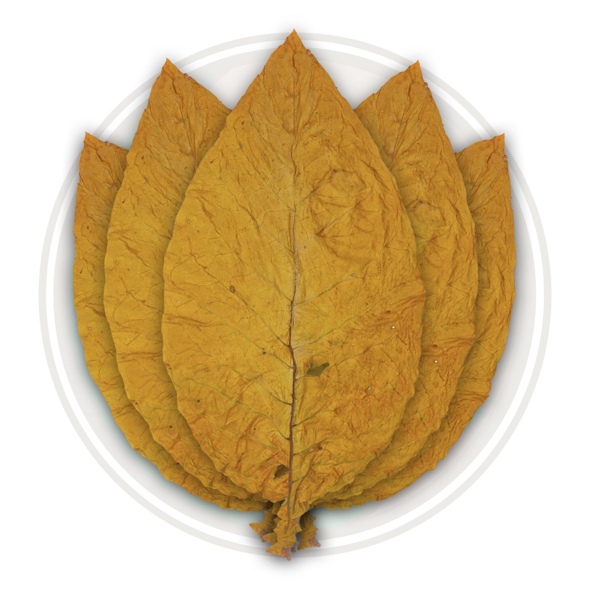 6.-Oriental-Tobacco-2048x2048 (1)